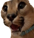 floppapog Discord emoji