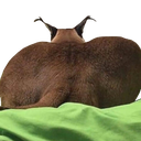 floppass Discord emoji