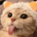 clazcat Discord Emoji