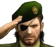salute_1