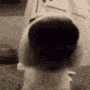 sniffa Discord emoji