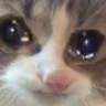sadkitty