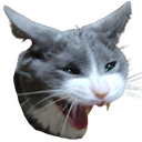 flufflmao Discord emoji