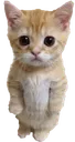 hehe hehe