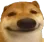 cheemsjztr