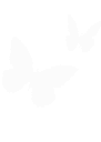 w_butterfly