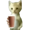 CIchoccymilk CIchoccymilk