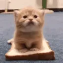 CIsandwich CIsandwich