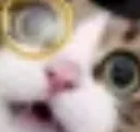 CATrexiestare