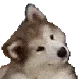 confusedlook