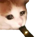 Catvaping Discord Emoji
