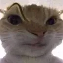 HUH