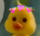 br_alex_ducky br_alex_ducky