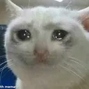 Catbutsad