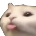 cat_L