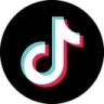 TikTok Discord emoji
