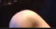 BANSH_KNEE