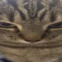 emoji_17