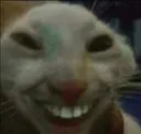 Rabbitsmile