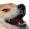 pj_lolz Discord emoji