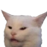 huhcat Discord emoji