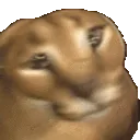 flopping