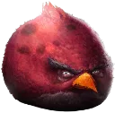 angrybird