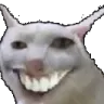 ccat