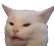 Angrycat angrycat Discord Emoji