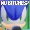 nobitches