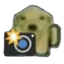 hk_PerroFoto