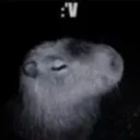capi