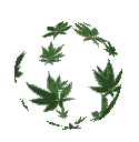 72999051animatedhempmarijuanagif Discord Emoji