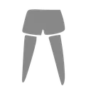ClosetPants