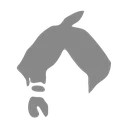 ClosetHair