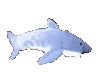 Z_SharkFast