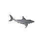 Z_MicroSharkFast