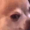 Looking_upset