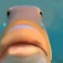 fishysad