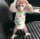 WTF