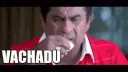 tgff_vachadu