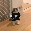 Cat_army Discord Emoji