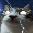 youshouldMEOWyourself