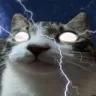 youshouldgoMEOWyourselfnow youshouldgoMEOWyourselfnow