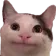 Bruhcat bruhcat Discord Emoji