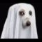 boo