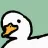 duck_shake