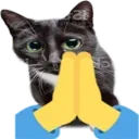 catpray