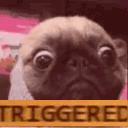 triggereddoggo Discord emoji