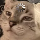 AegisCatLoadingThinkGif